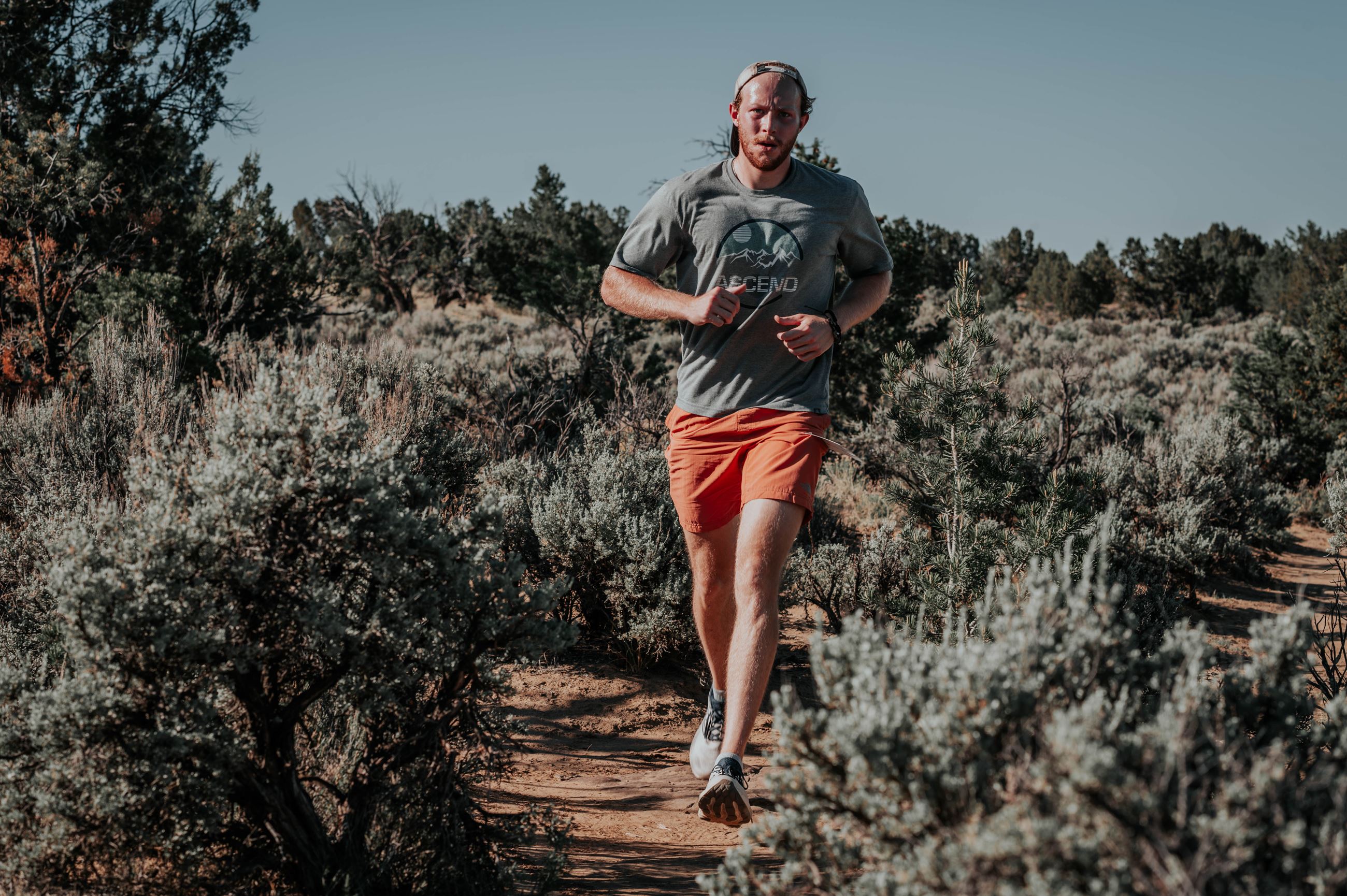 Joy Ride and Run 2025 -4